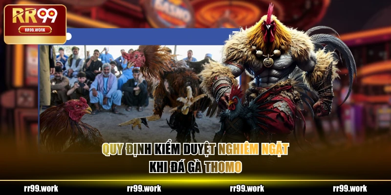 Quy định kiểm duyệt nghiêm ngặt khi đá gà Thomo